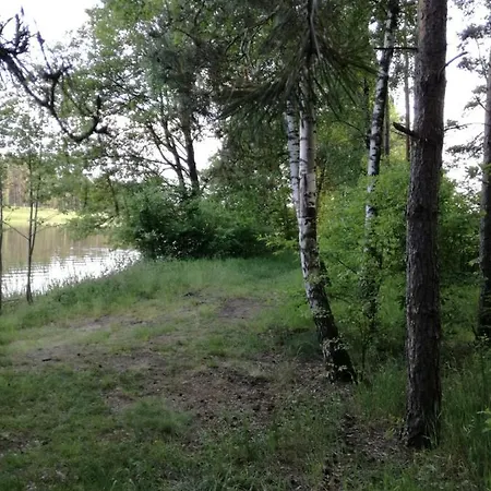 Bory Tucholskie Starzyska Semesterbostad