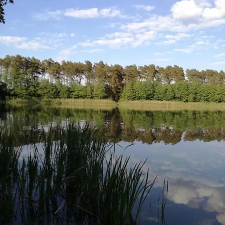 Holiday home Bory Tucholskie Starzyska *